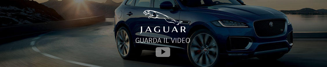 Video Jaguar